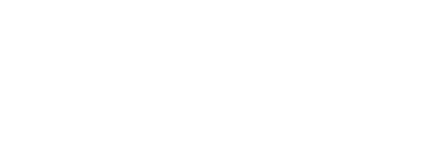 Logo die Printübersetzerin Weiß